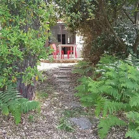Adorable Patio *